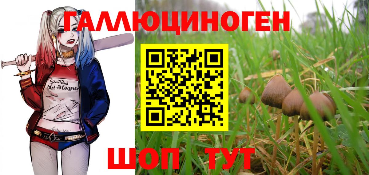 Галлюциногенные грибы Magic Shrooms Сызрань