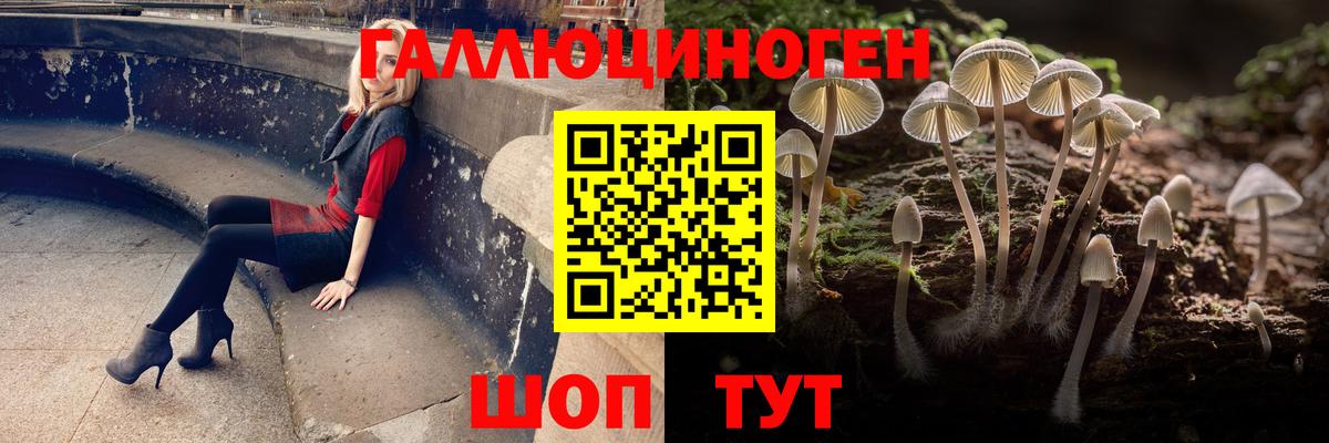 Галлюциногенные грибы MAGIC MUSHROOMS  Вход с VPN  Сызрань 